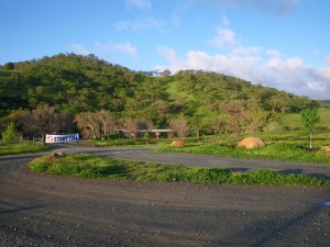 The Diablo 50K starting line at Round Valley Regional Preserve.