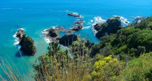 Bay of Plenty coast, New Zealand