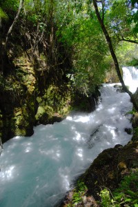 A riverside trail near Rotorua.